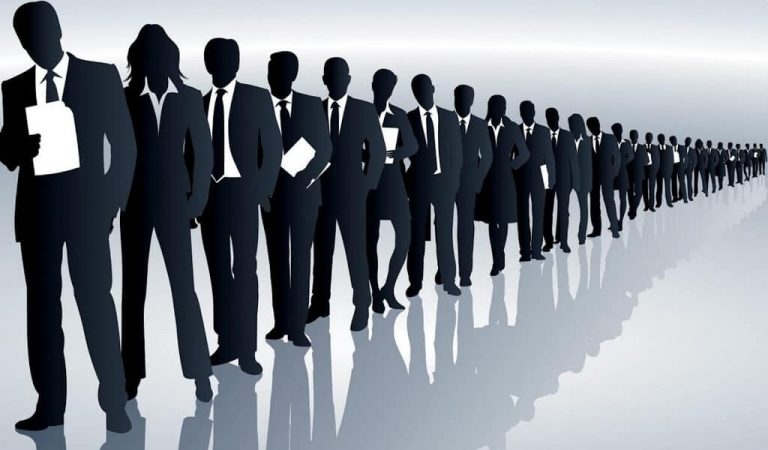 Job Consultants Bring The Best Employment to Job Seekers