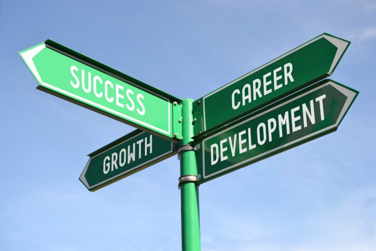 Some Reason Why Career Search is Essential. 